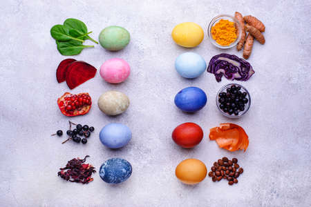 Color Easter eggs painted with organic dyeの写真素材