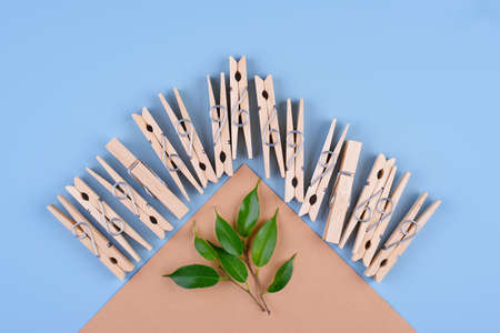 Zero waste eco wooden clothes pinの写真素材