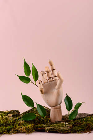 Empty wooden hand with bark and leavesの写真素材