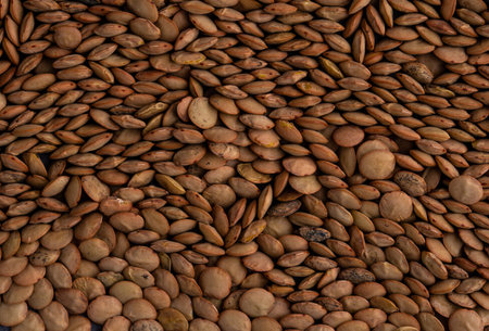 Food texture of green dry lentil.