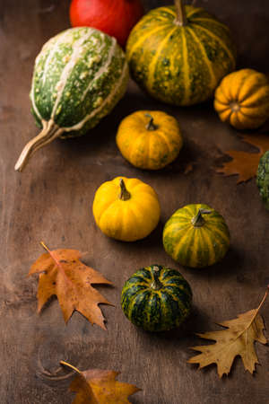Various decorative pumpkins. Autumn conceptの写真素材