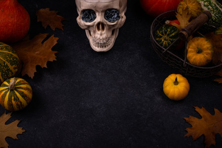 Halloween autumn background with skullの写真素材