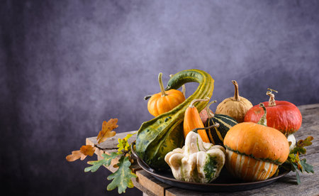 Various decorative pumpkins and dry leaves.