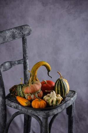 Various decorative pumpkins and dry leaves.の写真素材
