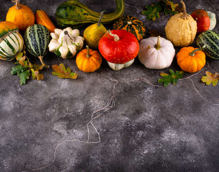 Various decorative pumpkins. Autumn harvestの写真素材