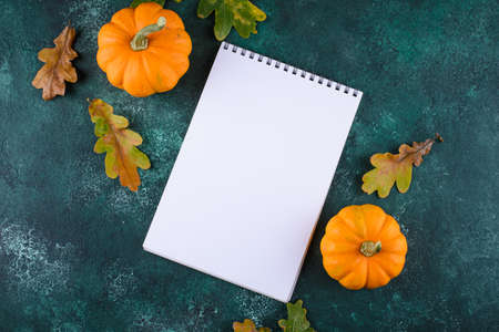 Various decorative pumpkins. Autumn harvestの写真素材