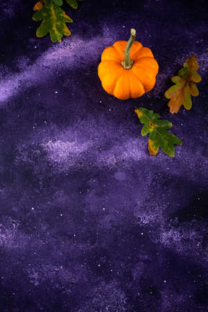 Various decorative pumpkins. Autumn harvestの写真素材