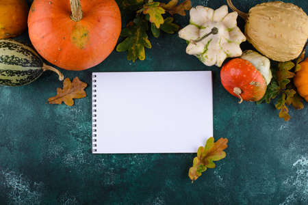 Various decorative pumpkins. Autumn harvestの写真素材