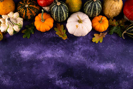 Various decorative pumpkins. Autumn harvestの写真素材