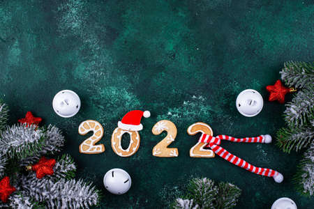 Christmas and New Year cookies 2022の写真素材