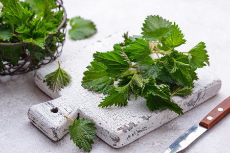 Young fresh nettle, spring herbs for cooking