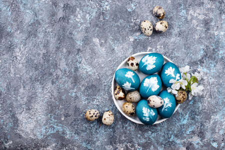 Easter blue eggs painted of natural dyeの写真素材