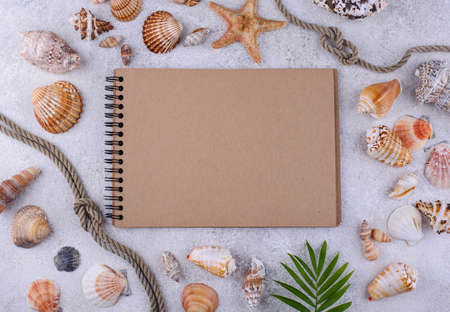 Summer nautical marine background with shellの写真素材