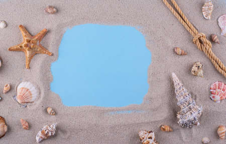 Summer nautical marine background with shellの写真素材