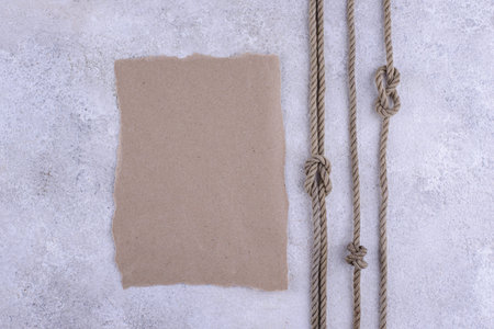 Summer nautical marine background with shellの写真素材