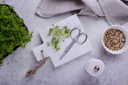 Microgreens sprouts of watercress salad.の写真素材