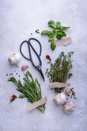 Rosemary, thyme and basil. Fresh garden herbs