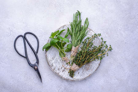 Rosemary, thyme and basil. Fresh garden herbsの写真素材