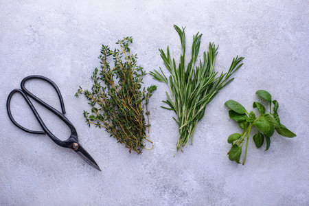 Rosemary, thyme and basil. Fresh garden herbsの写真素材