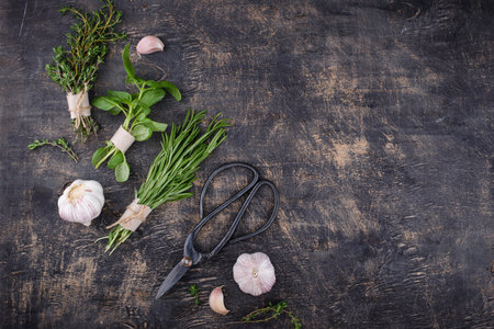 Rosemary, thyme and basil. Fresh garden herbs