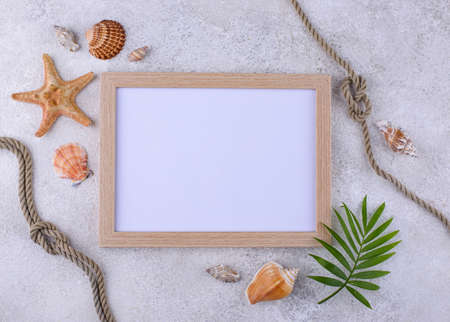 Summer nautical marine background with shellの写真素材