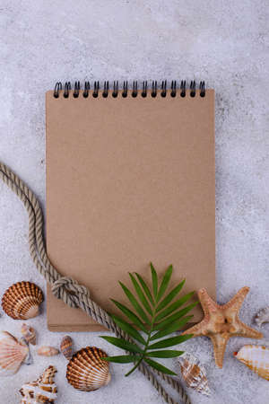 Summer nautical marine background with shellの写真素材