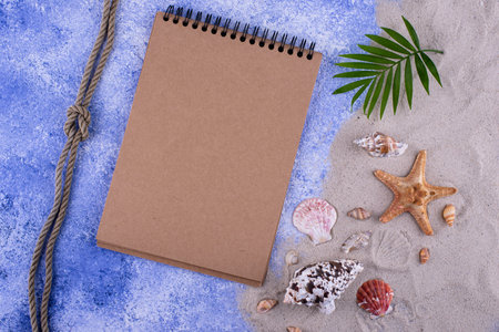 Summer nautical marine background with shell