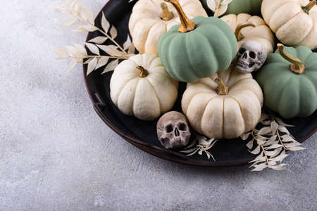 Elegant Halloween with white pumpkinの写真素材