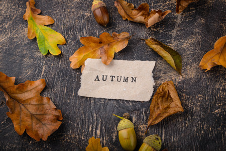 Autumn background with dry leaves.