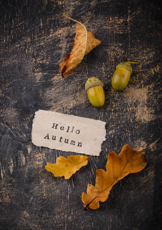 Autumn background with dry leaves.の写真素材