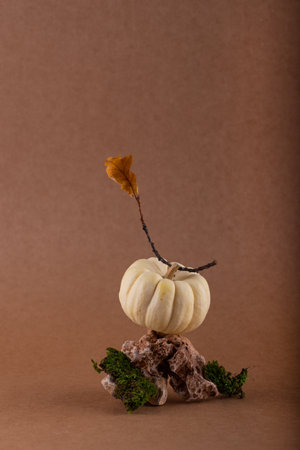 Autumn fall modern still lifeの写真素材