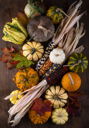 Autumn still life with pumpkin