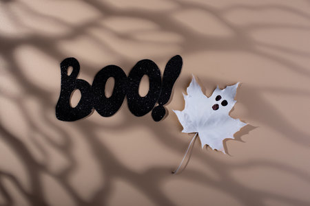 Halloween background with text Booの写真素材