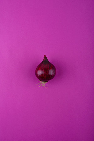 Red onion on purple violet background.の写真素材