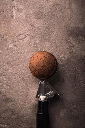 Sweet homemade chocolate ice creamの写真素材