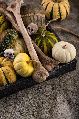 Halloween still life with pumpkin and skullの写真素材