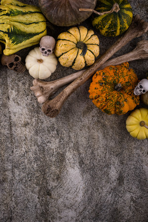 Halloween still life with pumpkin and skullの写真素材