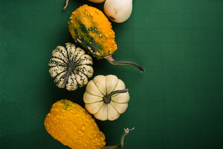 Decorative pumpkin on green background.の写真素材