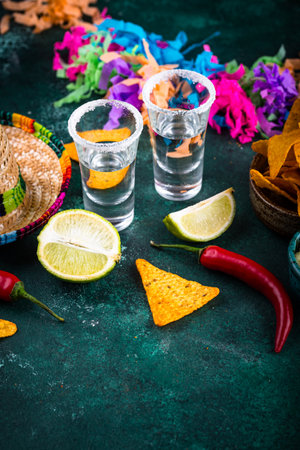 Traditional Mexican food nachos, salsa, guacamole, tequila.の写真素材
