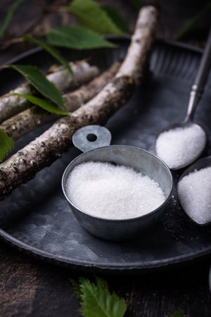 Xylitol or birch sugar for diabeticsの写真素材
