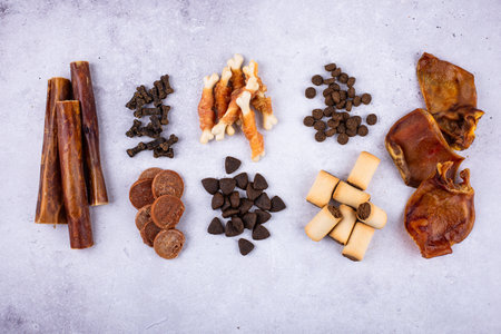 Assortment of different dog treats and snackの写真素材