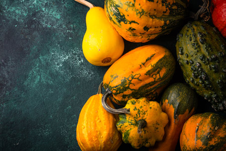 Various decorative pumpkin on green backgroundの写真素材