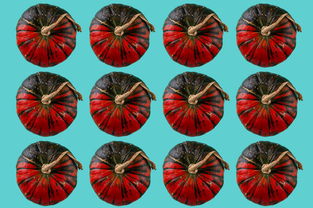 Decorative pumpkin isolated on color background.の写真素材