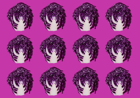 Vibrant purple cabbage slices in patternの写真素材