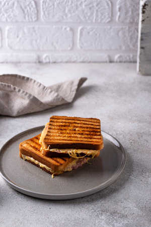 Grilled sandwich with ham and melted cheeseの写真素材