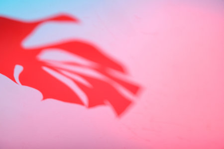 Tropical leaves in neon light with duotone shadowsの写真素材