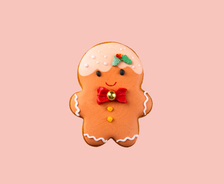 Christmas homemade gingerbread cookies with icingの写真素材