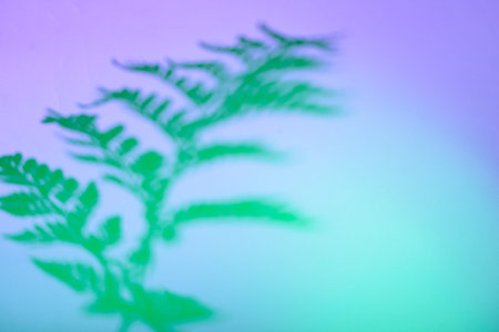 Tropical leaves in neon light with duotone shadowsの写真素材