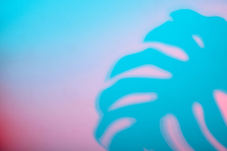 Blue leaf silhouette on vibrant gradient background
