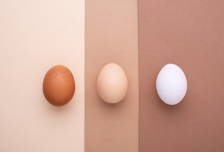 Different color of eggs, modern trendy styleの写真素材